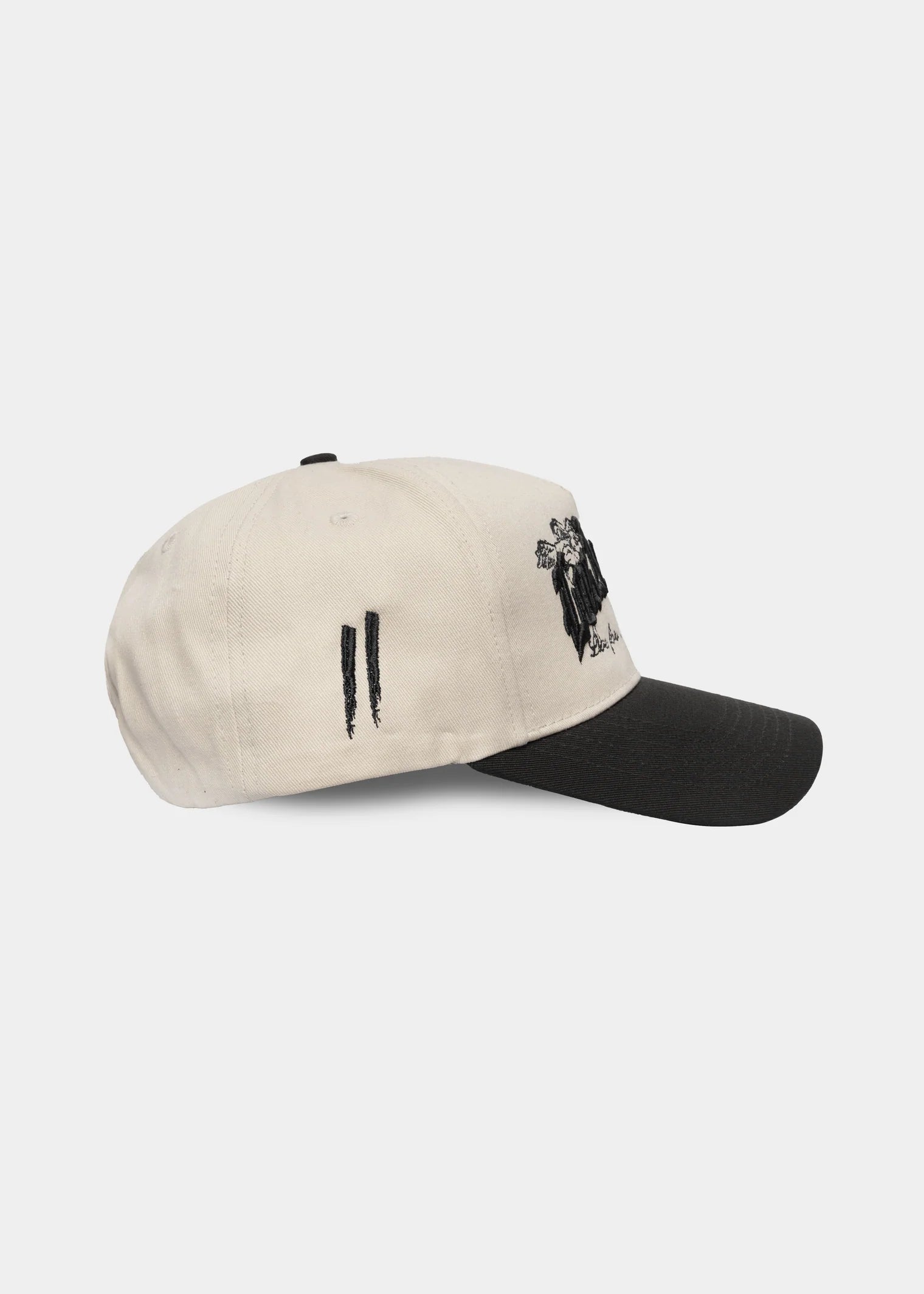 SWORN TO US HOMETOWN SNAPBACK // BEIGE