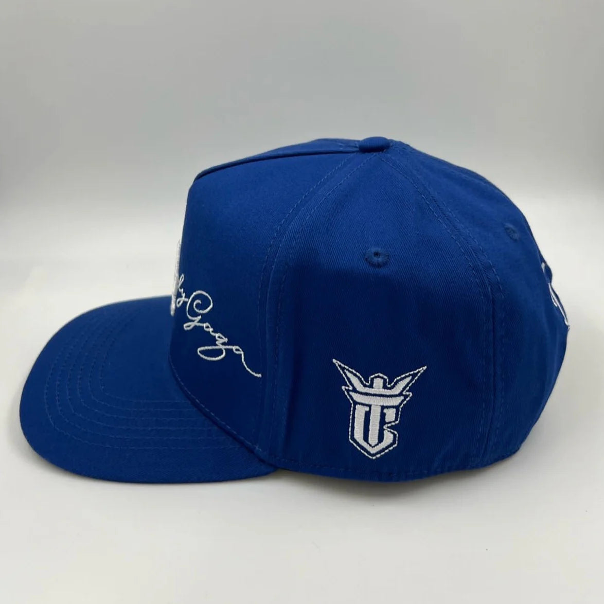 TIROS CAPS LADY GAGA